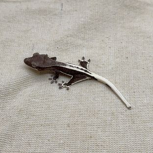 릴잔틱