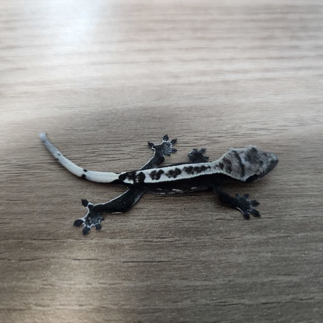 아잔틱