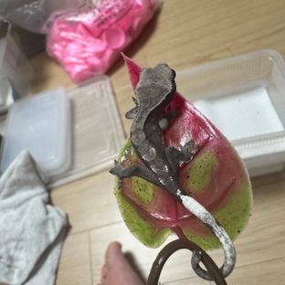 아잔틱
