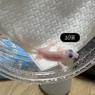 10포