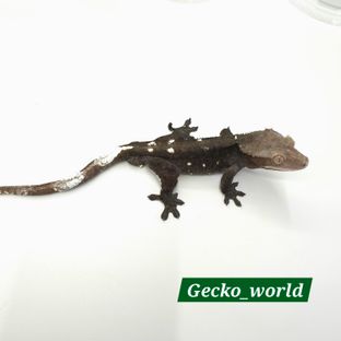 던