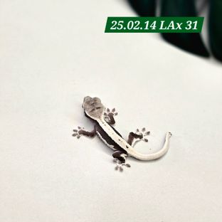 릴잔틱