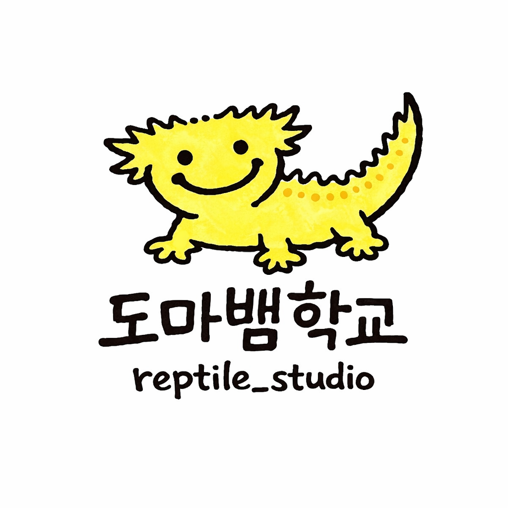 도마뱀학교