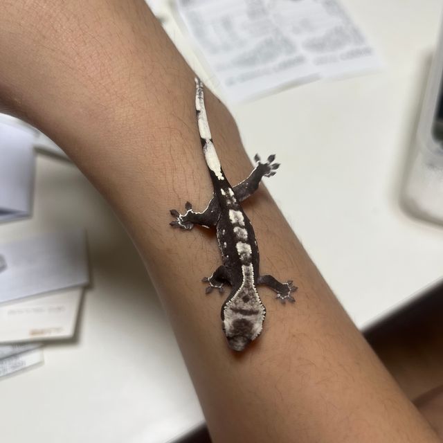 아잔틱