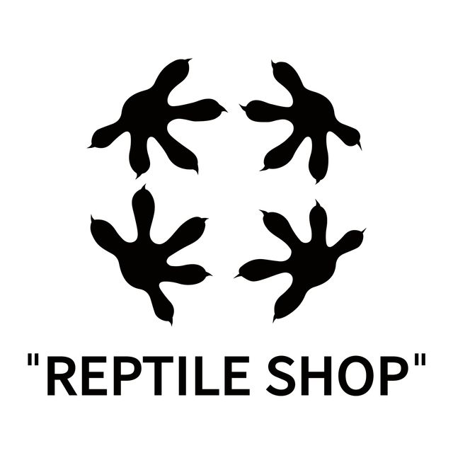 릴리화이트