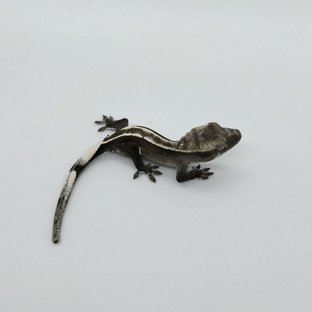아잔틱