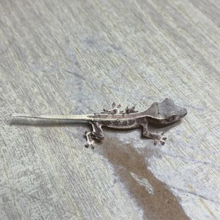트라이 익스트림할리퀸 화이트스팟 화이트핀 드리피 릴리화이트