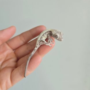 스세이05