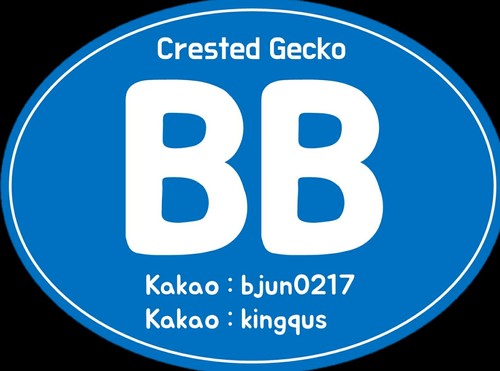 비비게코