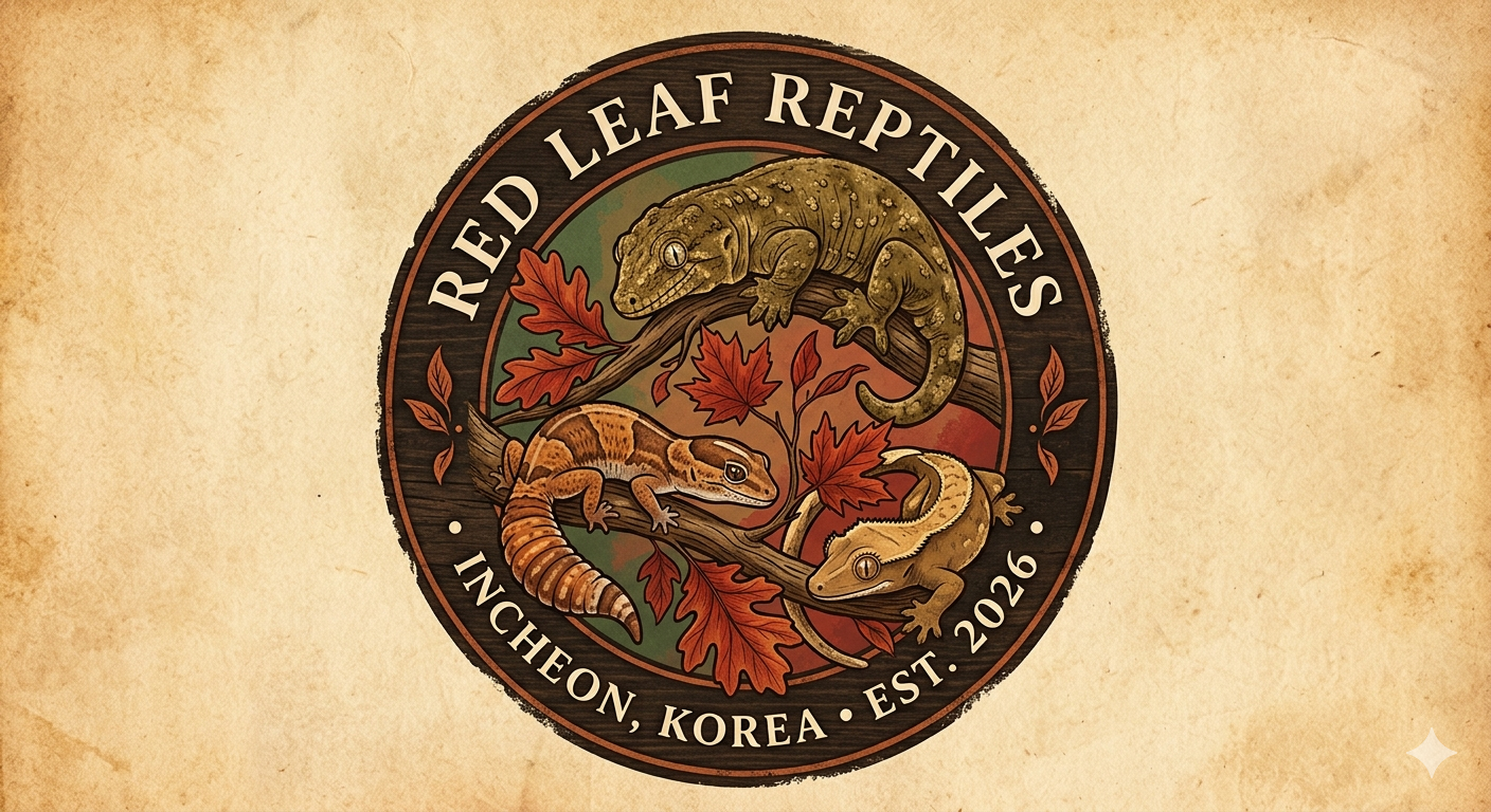 레드리프REDLEAF