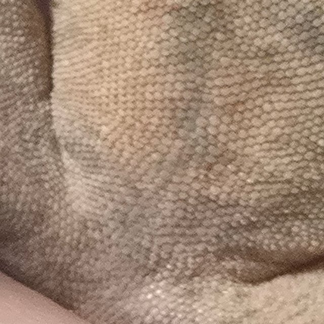 카푸치노 100%헷아잔틱