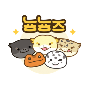 레드