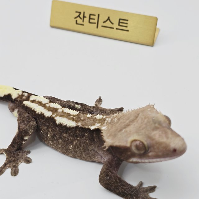 아잔틱