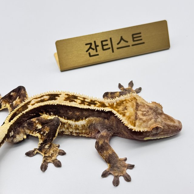 엠티백