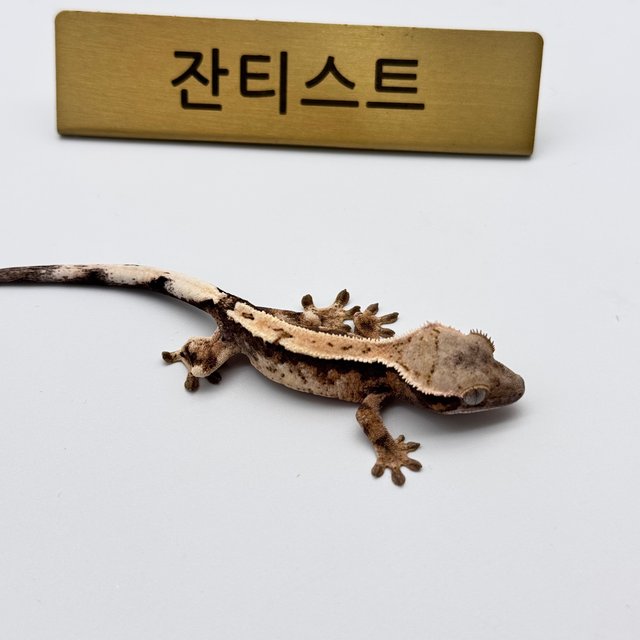 세이블
