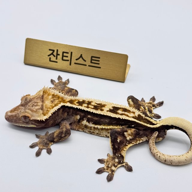 엠티백