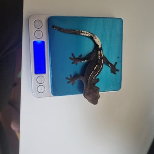 아잔틱