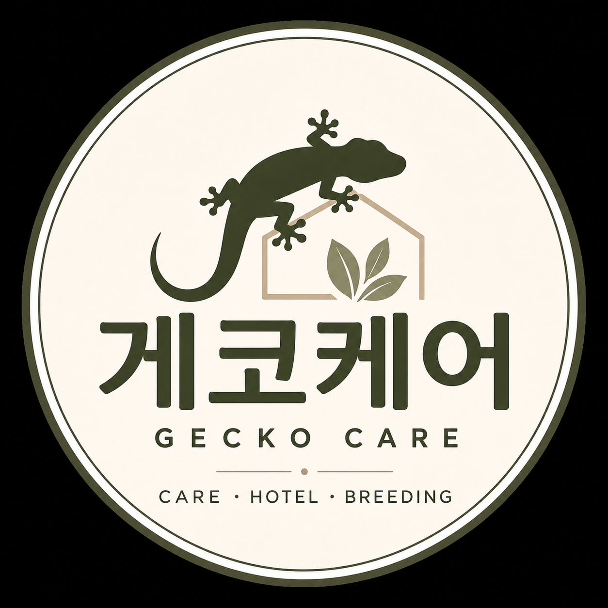 게코케어