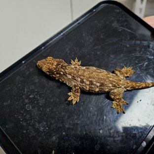 트루 컬러 하이 컬러