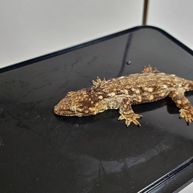 트루 컬러 하이 컬러