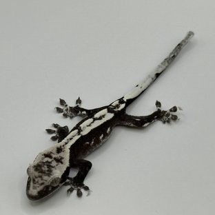 아잔틱