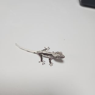 릴잔틱
