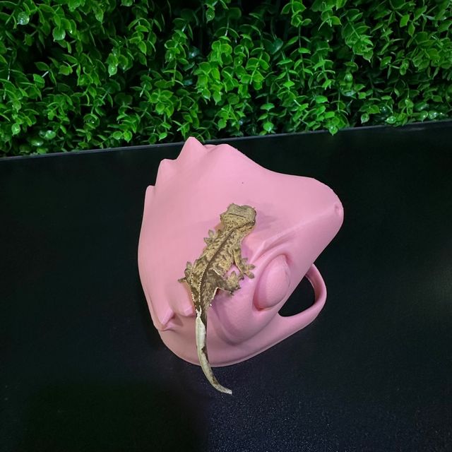 노멀