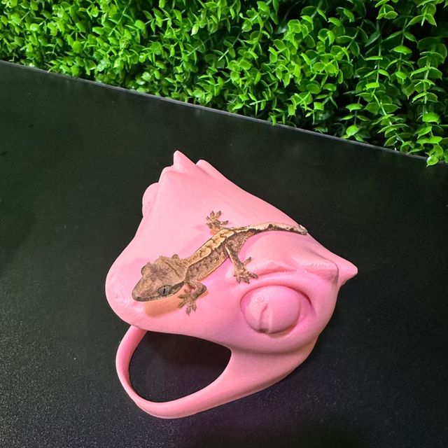 노멀