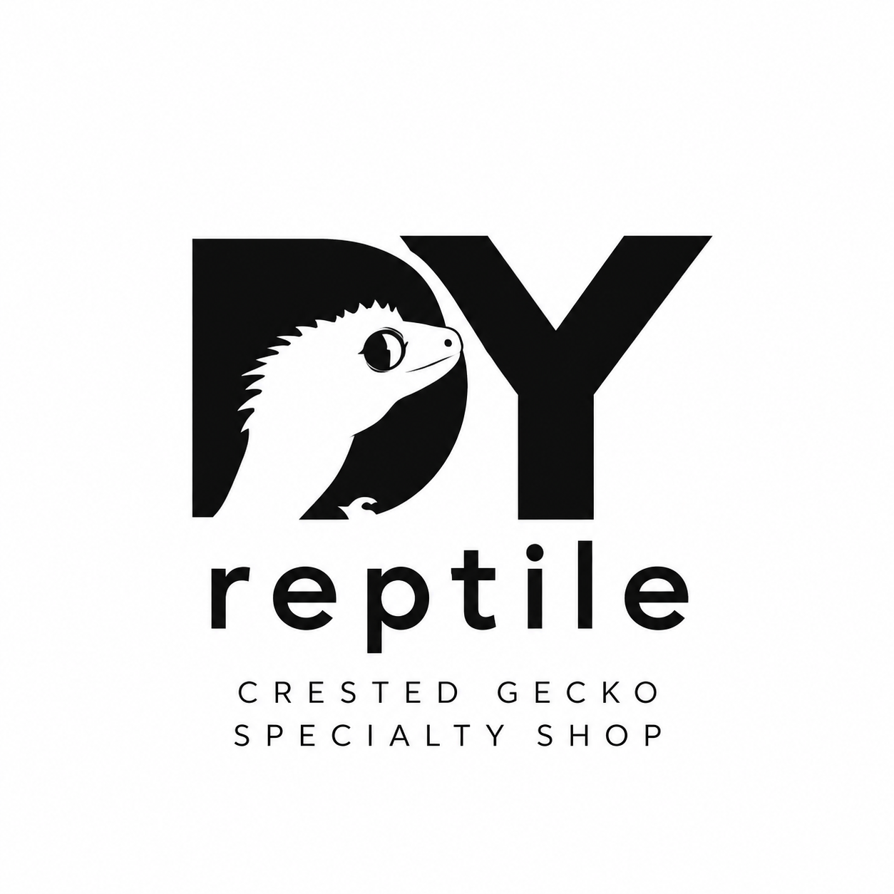 DY렙타일