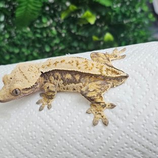 루7.19
