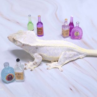 앙트와느