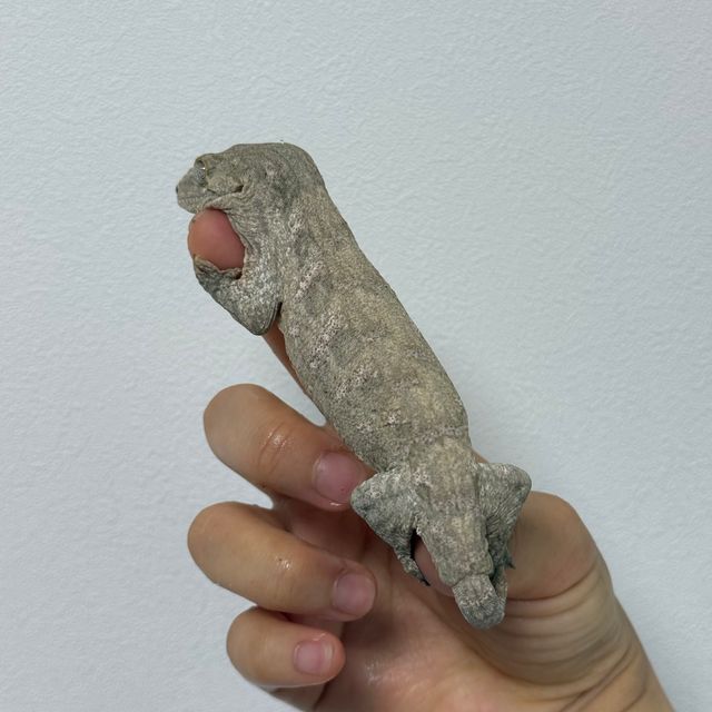 누아미 노멀