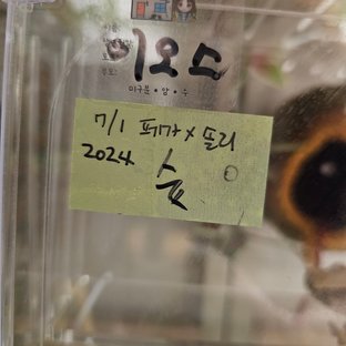 노멀