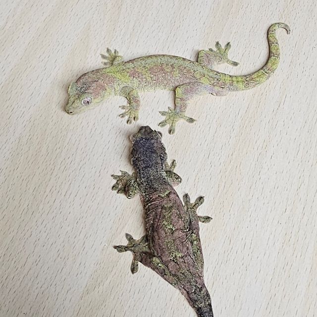 파인아일랜드