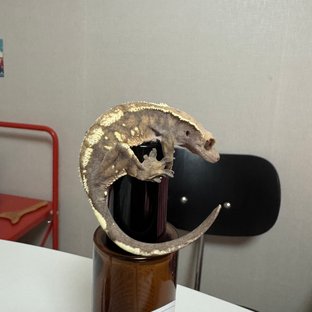세이블
