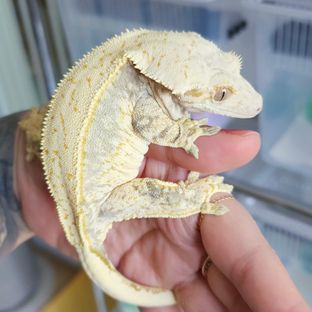 뿌슝