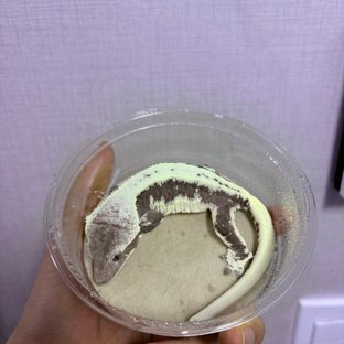 릴잔틱