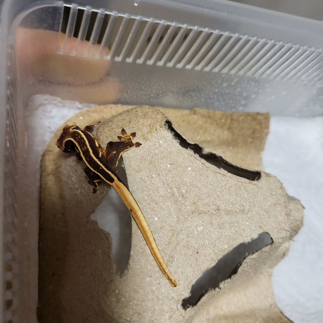 엠티백 풀핀 오닉스