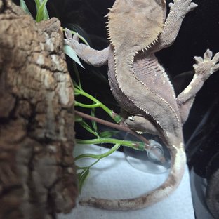 바이 레드 화이트포트홀