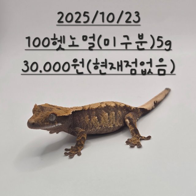 노멀 블랙 다크 100%헷아잔틱