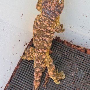 트루 컬러 하이 컬러