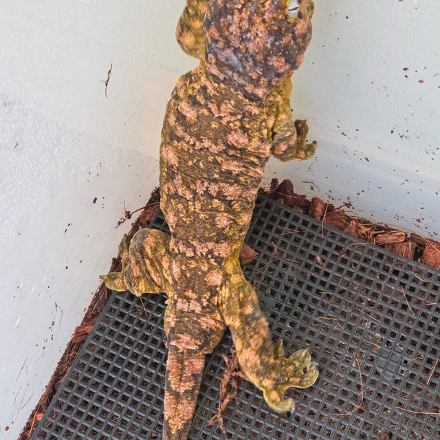 트루 컬러 하이 컬러