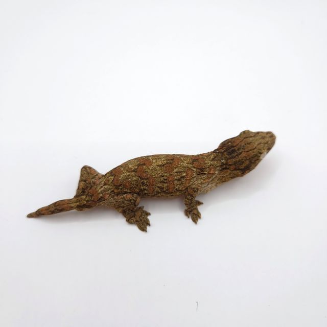 GT