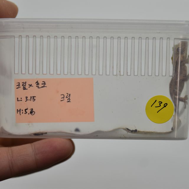크림시클