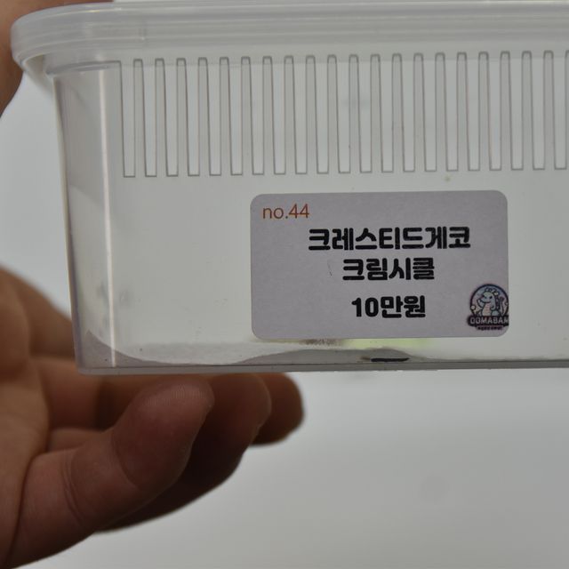 크림시클