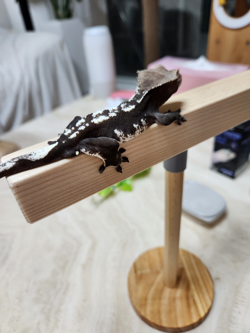 힐링크레타임