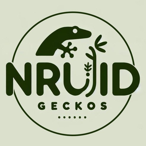 NruidGeckos