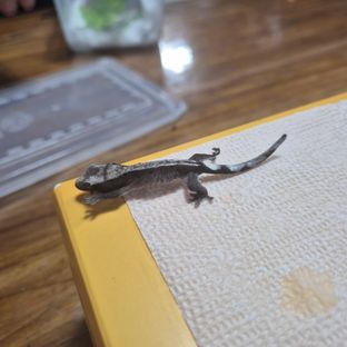 아잔틱