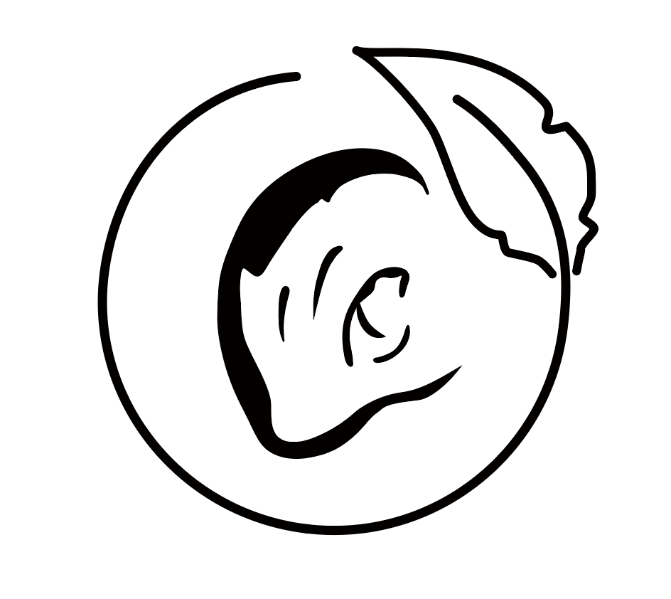 커브드플레이스