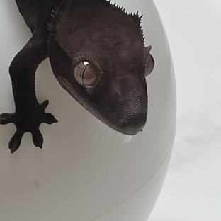 아잔03